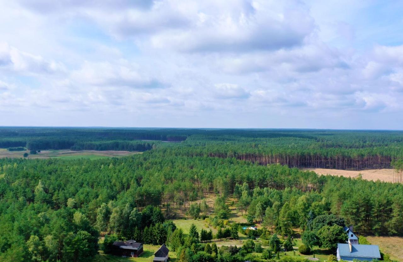 Villa Leśna *