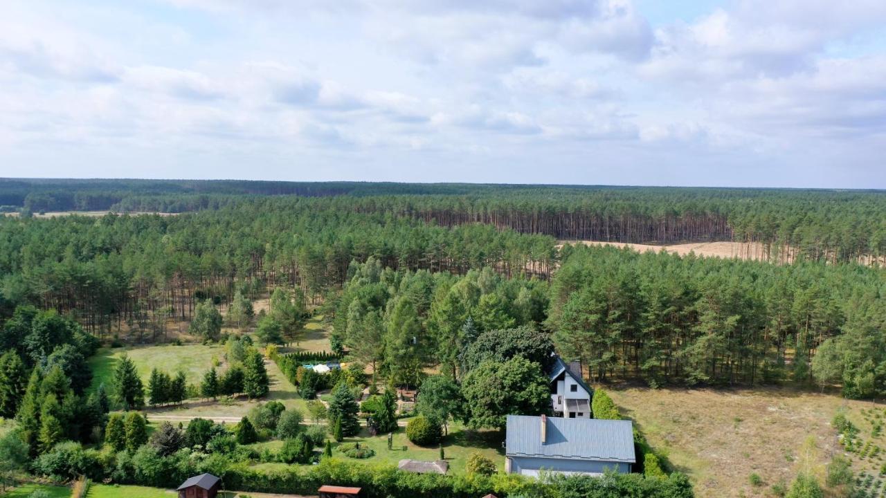Leśna Ocypel